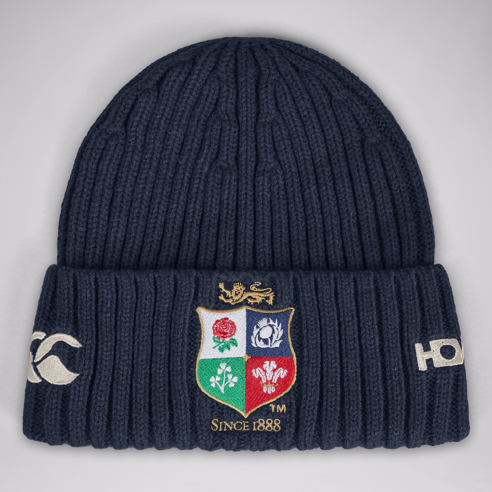 Lion beanie hat new arrivals