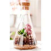 CHEMISTRY TERRARIUM KIT
