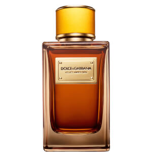 Dolce gabbana store velvet amber