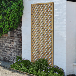 Homebase trellis shop