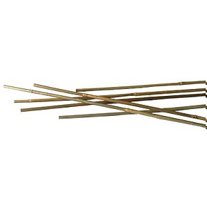 10 Pack Bamboo Canes - 1.2m/4ft