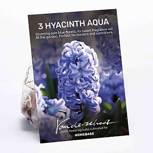 Hyacinth shoe cover deals