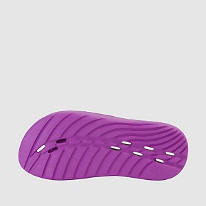Junior Speedo Slide Purple