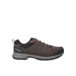 Men's Fellmaster Active Gore-tex Shoes  - Grey