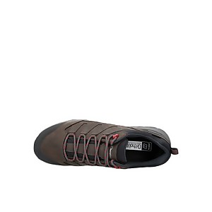 Men's Fellmaster Active Gore-tex Shoes  - Grey