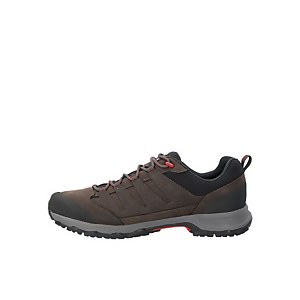 Men's Fellmaster Active Gore-tex Shoes  - Grey