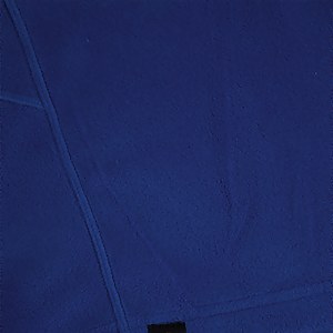 Men's Prism Mirco Polertec Half Zip fleece - Blue
