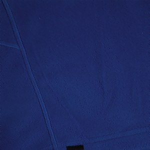 Men's Prism Mirco Polertec Half Zip fleece - Blue