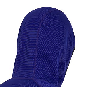 Men's Pravitale Mountain 2.0 Hooded Fleece Jacket - Purple