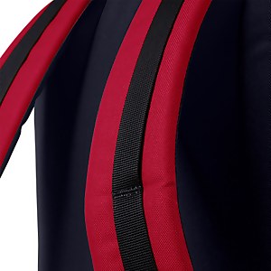 Recognition 25 Rucksack - Red