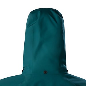 Women's Highland Ridge Interactive Gore-Tex Waterproof Jacket - Green