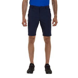 Men's Hansteen Tech Shorts - Blue