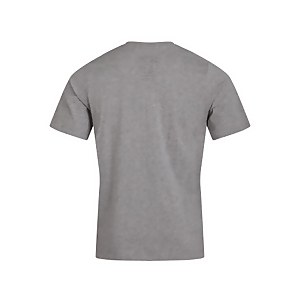 Men's Organic Big Classic Logo T-Shirt Dark Grey