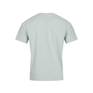 Men's Organic Big Color Logo T Shirt Grey