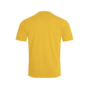 Men's Organic Colour Logo T-Shirt Brown