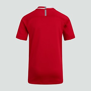 Junior Unisex Vapodri Evader Hooped Jersey Red