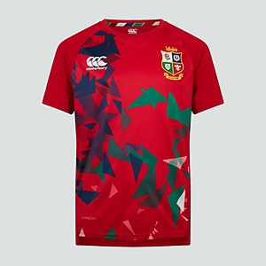 JUNIOR UNISEX BRITISH & IRISH LIONS SUPERLIGHT GRAPHIC TEE RED - AGE 6