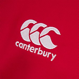 Junior Unisex British & Irish Lions Pro Jersey Red