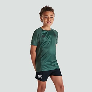 Junior Unisex Ireland Superlight Training Tee Green