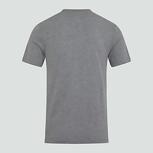 CANTERBURY CCC UGLIES TEE AM GREY