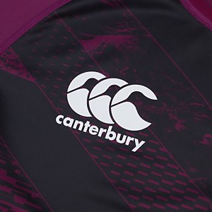 Mens Ireland Vapodri AlternatePro Jersey Purple