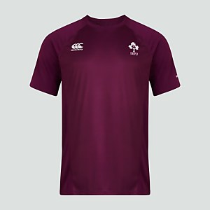 Mens Ireland Superlight Training Tee Purple