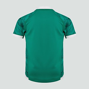 Junior Unisex Ireland Womens Team Vapodri Home Pro Jersey Green