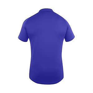 Mens Team Dry Polo Shirt Blue