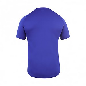 Mens Team Dry T-Shirt Blue