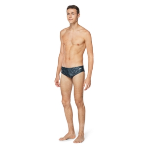 Shimmer Pool Brief
