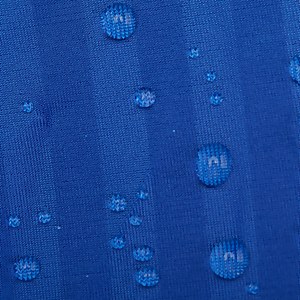 Women's Aquablade Recordbreaker One Piece Blue