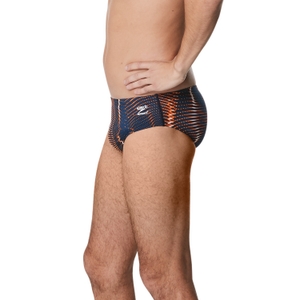 Solar Boom Brief