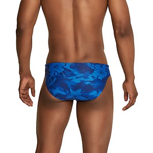 Printed Solar Brief 2"