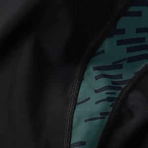 Damen Panel Laneback Badeanzug Schwarz/Grün