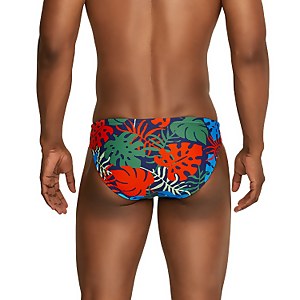 Printed Solar Brief 2"