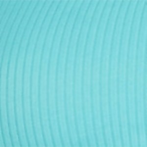 Women's Rib Logo Bikini Top Blue