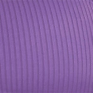 Women's Rib Logo Bikini Bottom Purple