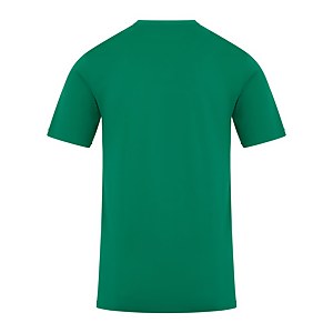 Men's Edale Mtn T Shirt Green