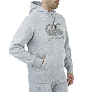 MENS LOGO OVER THE HEAD HOODIE IN GREY-S