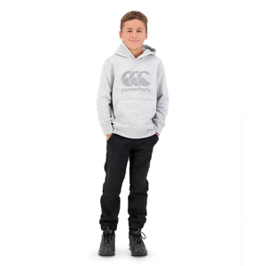 KIDS CCC HOODIE IN GREY