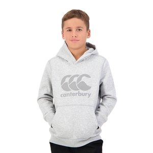KIDS CCC HOODIE IN GREY-6YR