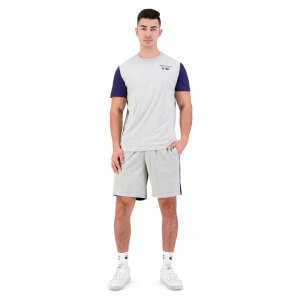 Mens International Short Sleeve Graphic T-Shirt in Grey