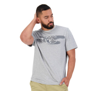 Men's Fundamentals Micro Stripe Short Sleeve T-Shirt in Grey Marl