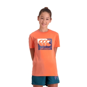 KIDS FUNDAMENTALS AXIS SHORT SLEEVE T-SHIRT - CORAL - 8YR