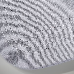 Unisex Logo Recognition Cap - Grey