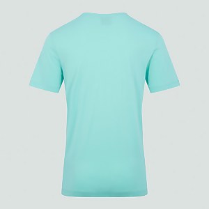 Mens Ireland Team Cotton T-Shirt Green