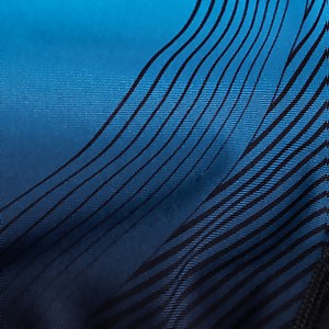 Digital Placement Medalist Badeanzug Schwarz/Blau für Damen
