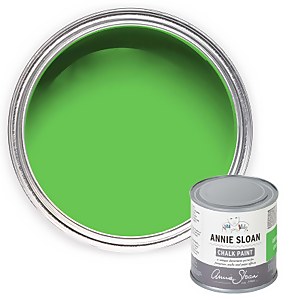 Annie Sloan Antibes Green Chalk Paint 120ml Homebase