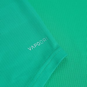 Mens Ireland Home Pro Jersey Green