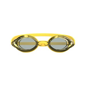 Vanquisher 2.0 Mirrored Goggles Gold